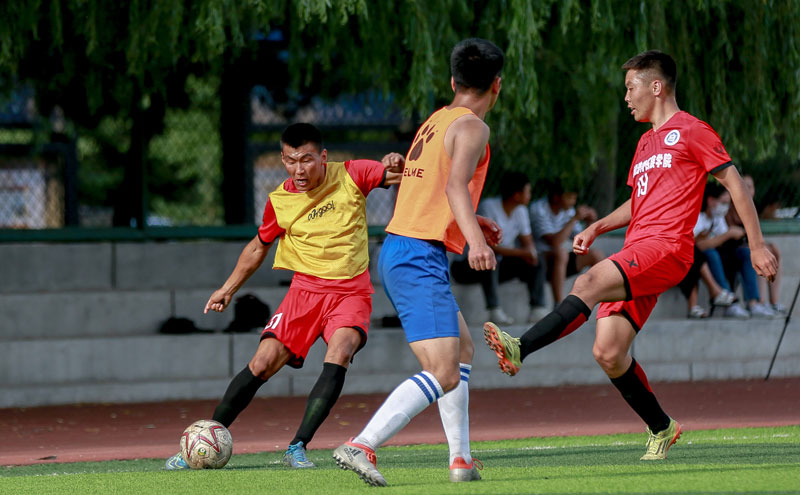 性却逻辑缜 性却逻辑缜