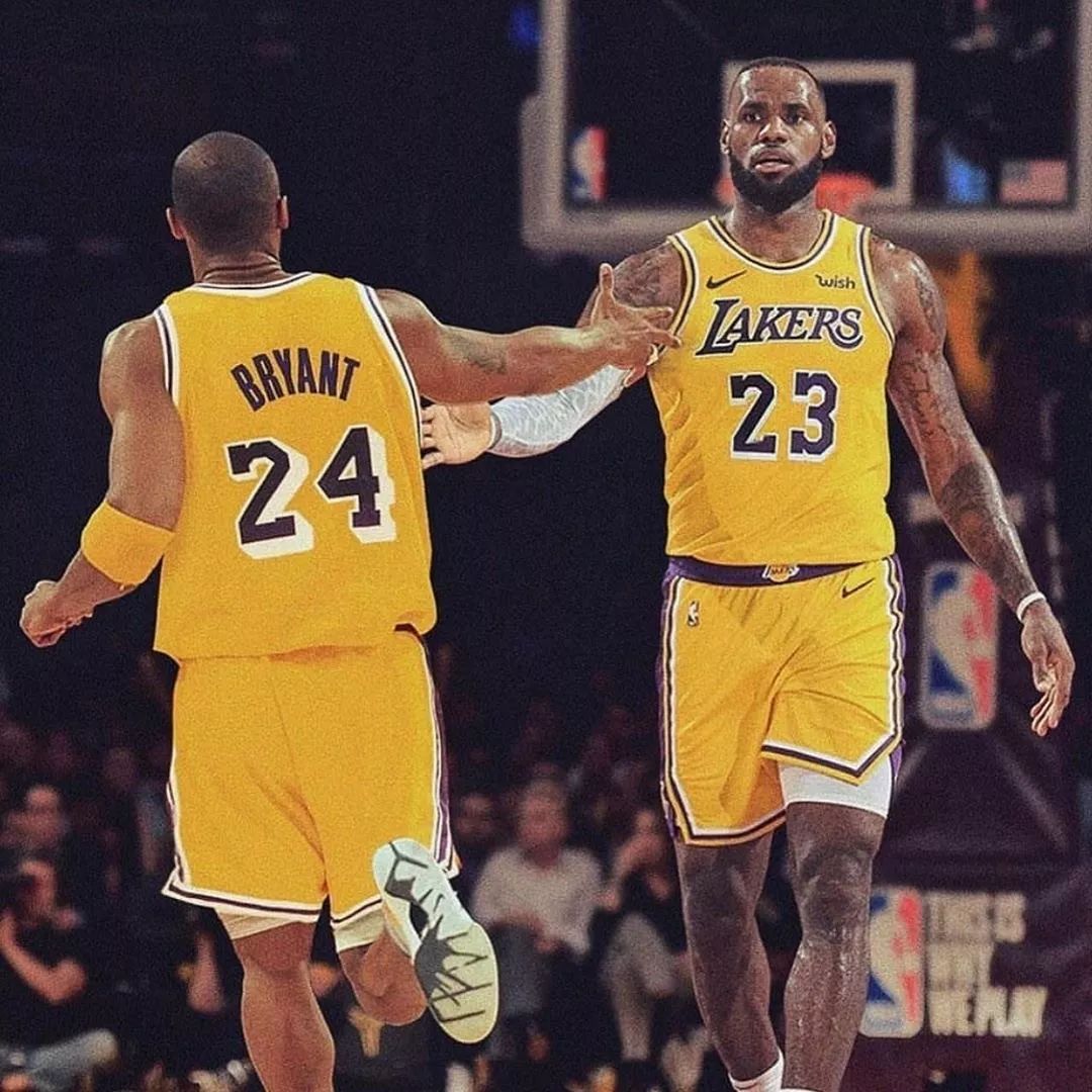 与公牛的谈 与公牛的谈